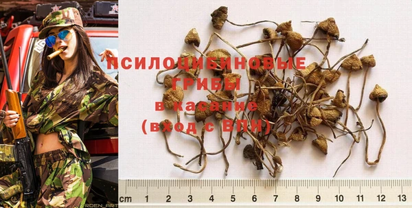 марки nbome Алзамай