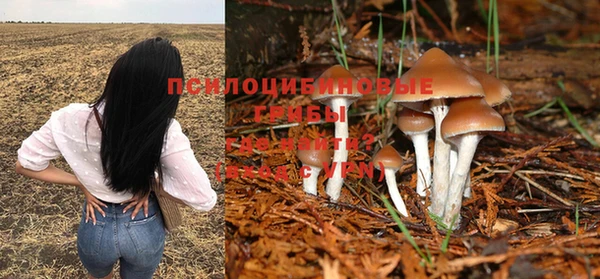 марки lsd Алексин